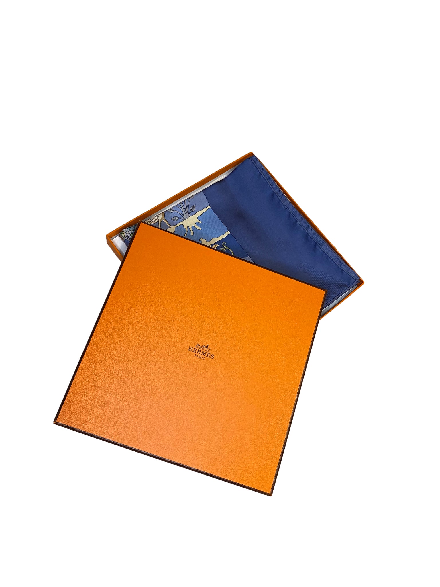 'Rives Fertiles' Silk Scarf