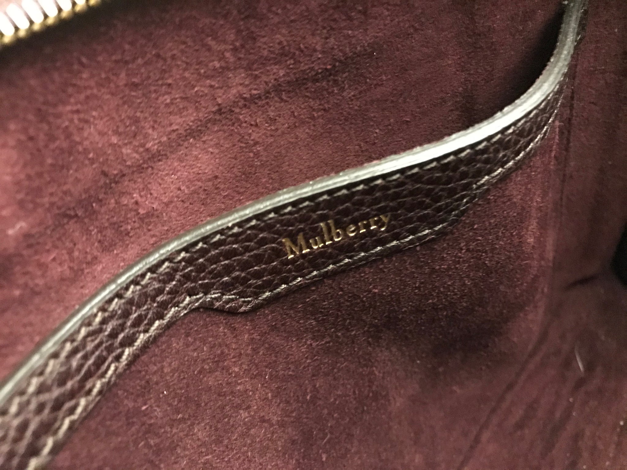 Zipped Bayswater