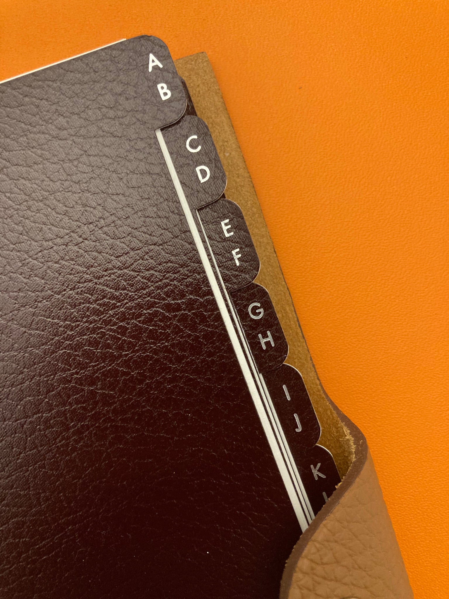 Ulysses MM Leather File