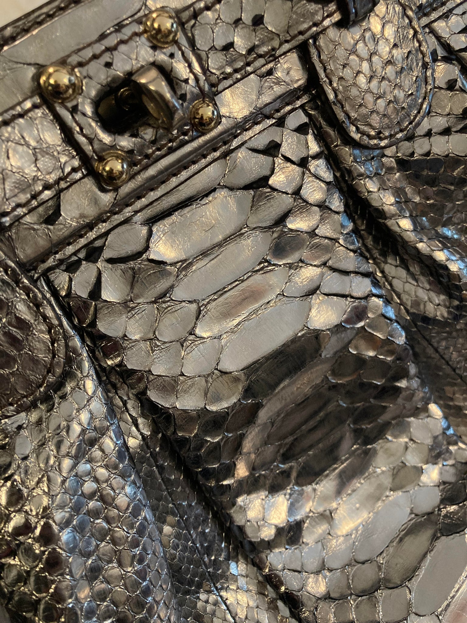 Metallic Python Bag