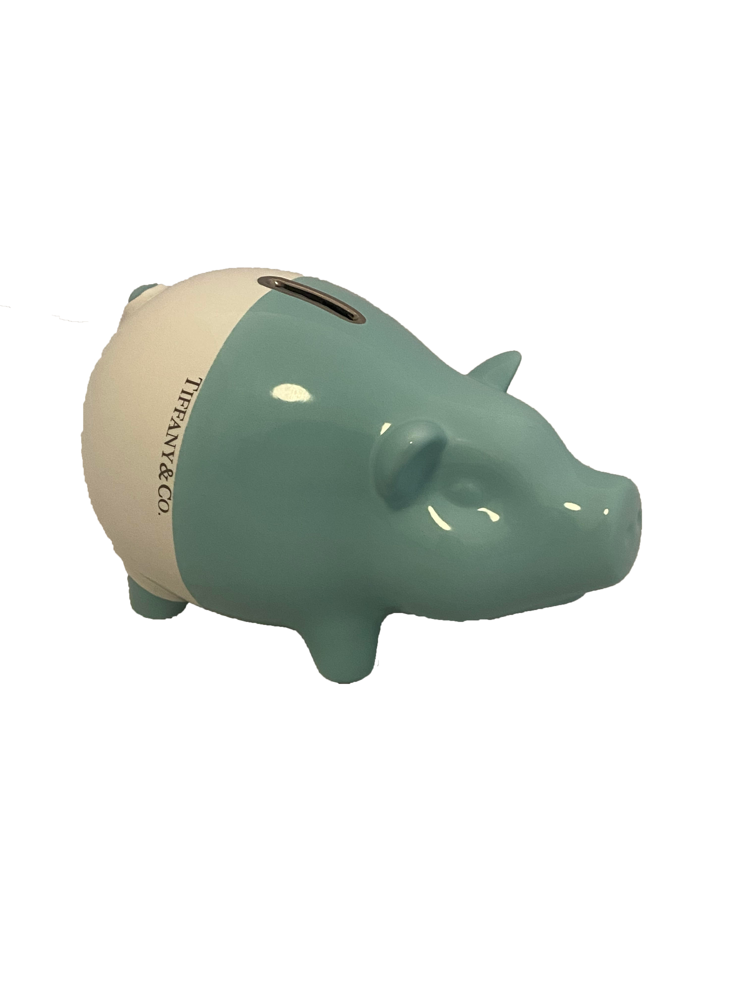 Ceramic Piggy Bank