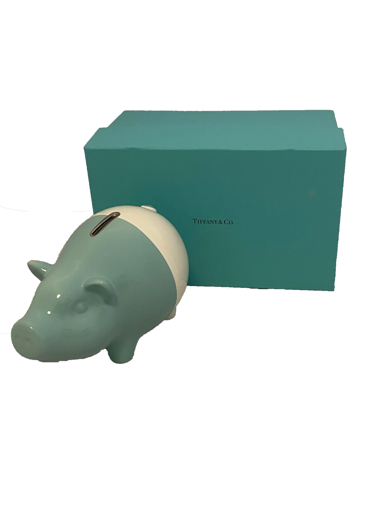 Ceramic Piggy Bank