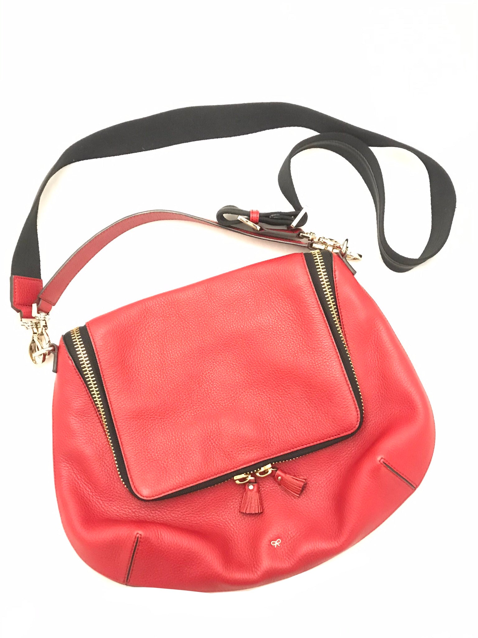Isabella's Wardrobe Anya Hindmarch Maxi Zip Satchel Bag.
