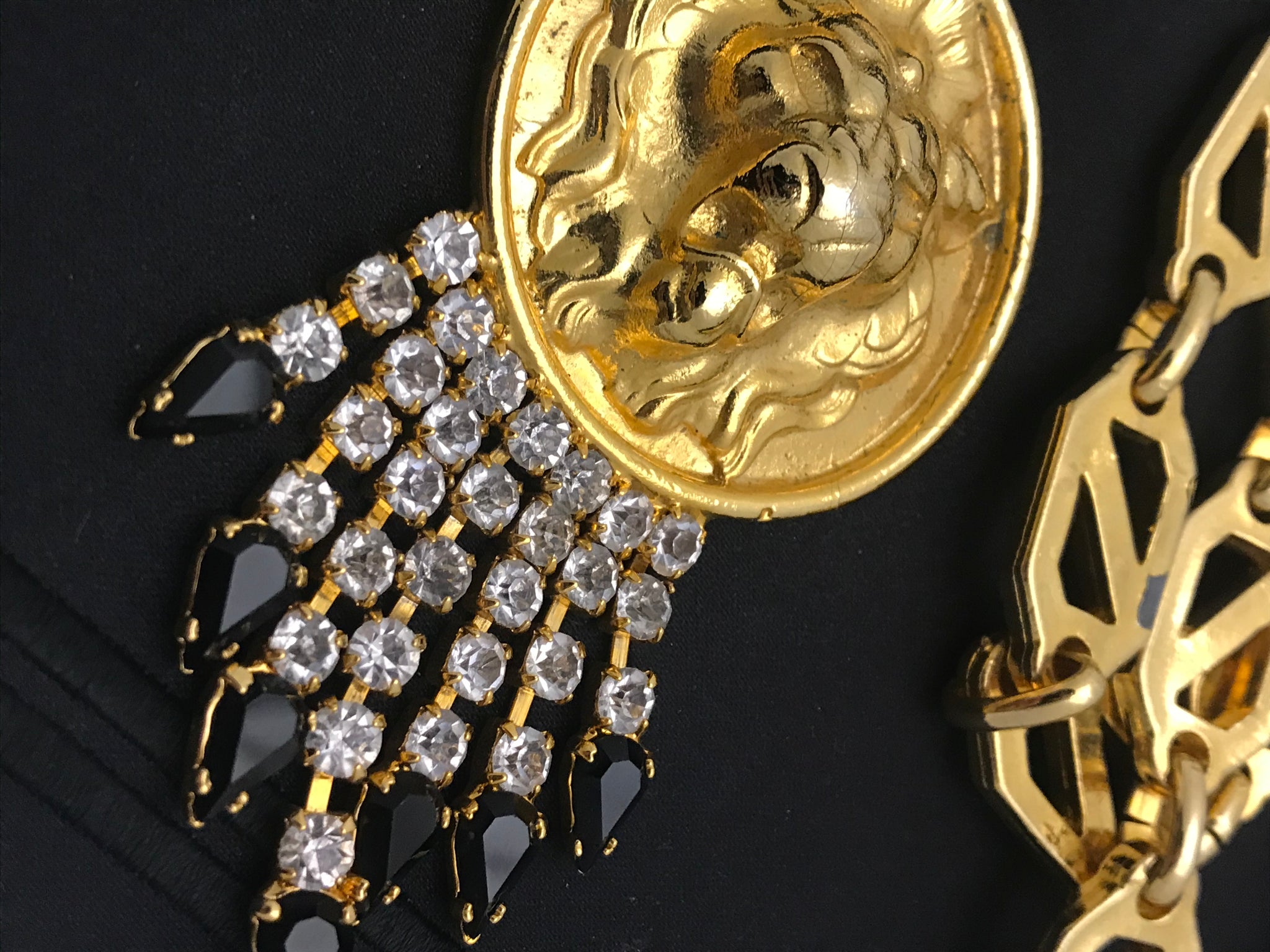 Isabella's Wardrobe Versus Versace Vintage Lion's Head Evening Bag.