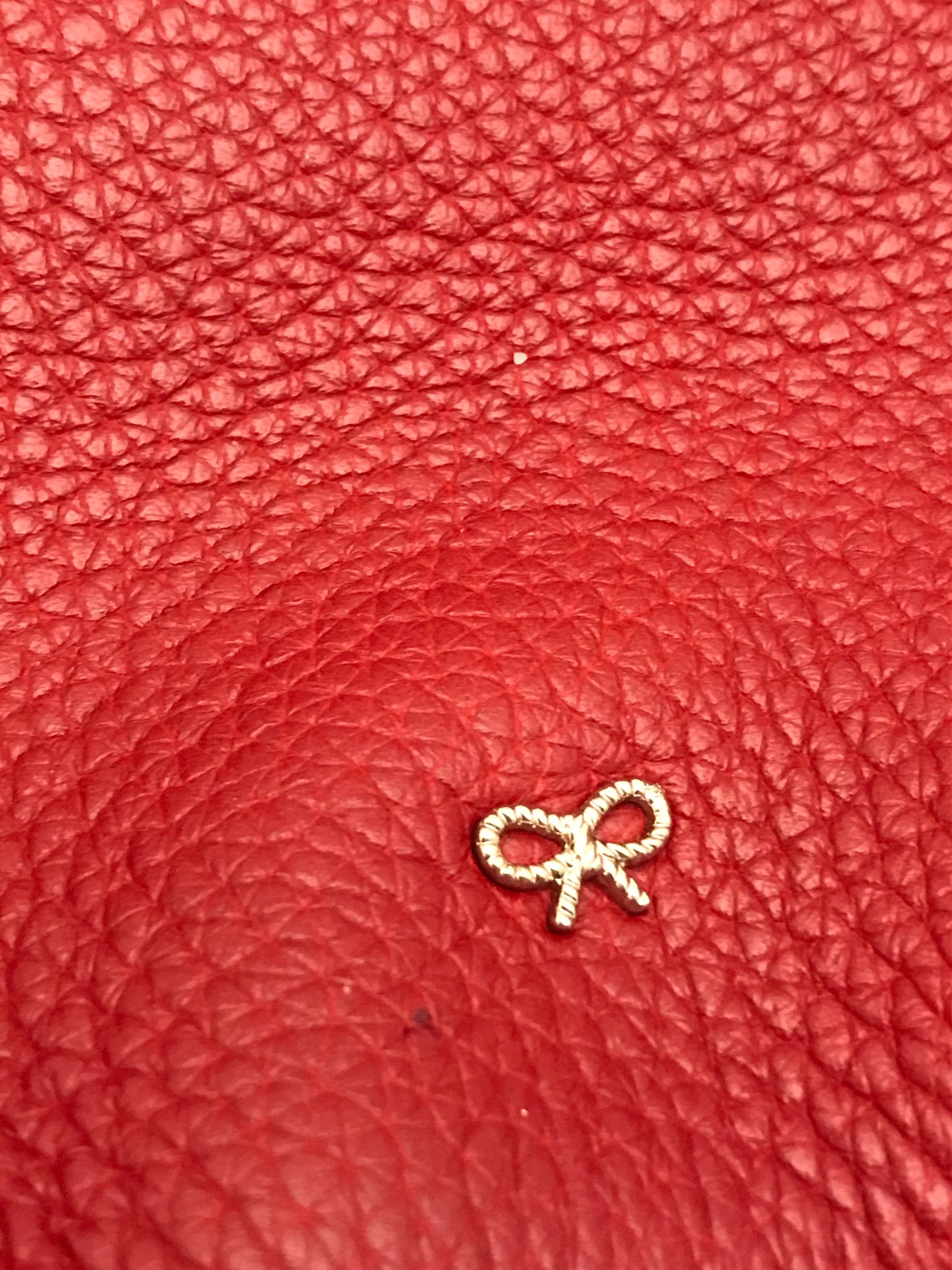 Isabella's Wardrobe Anya Hindmarch Maxi Zip Satchel Bag.
