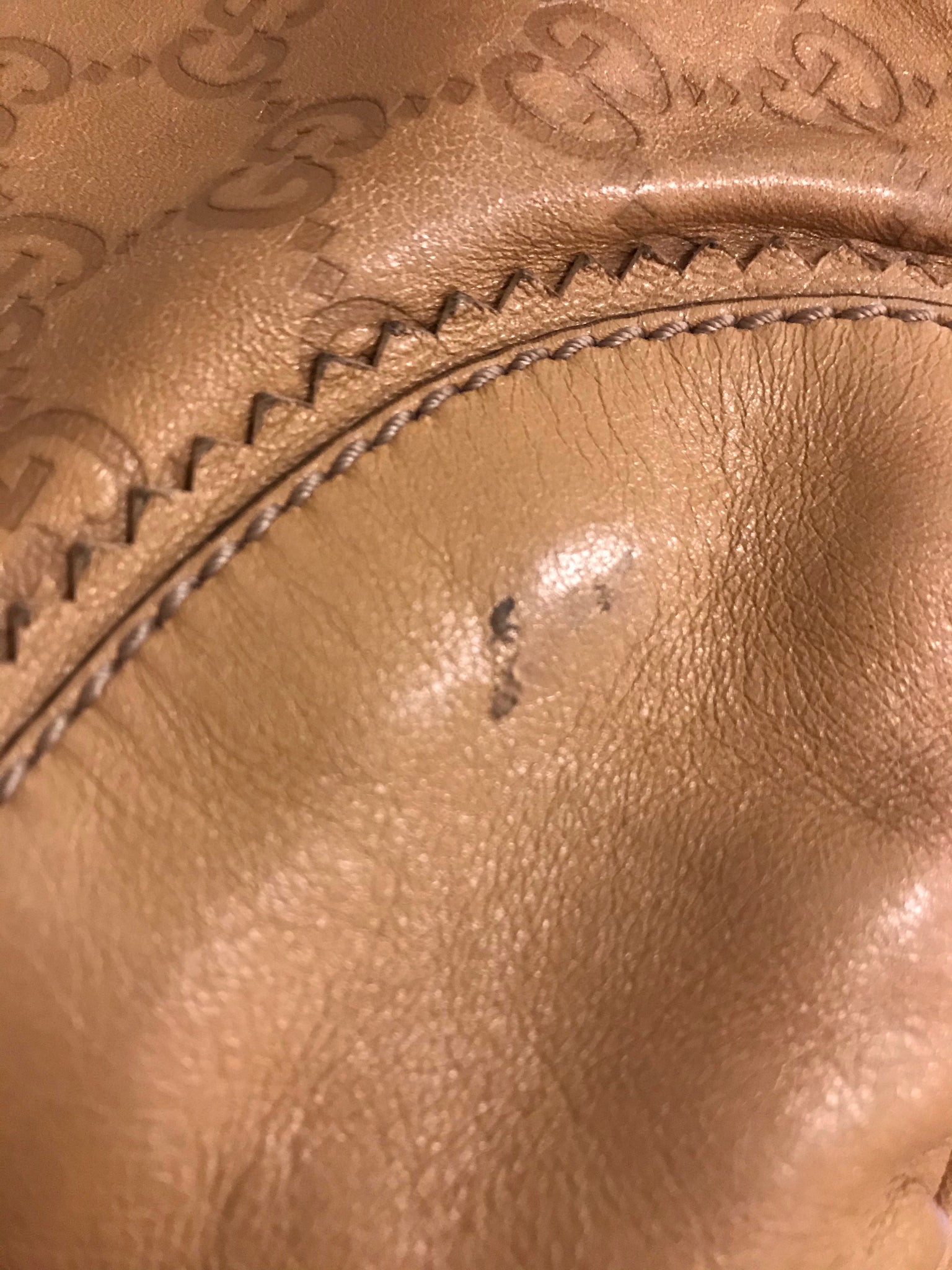 Isabella's Wardrobe Gucci Tribecca Tassel Guccissima Tote.